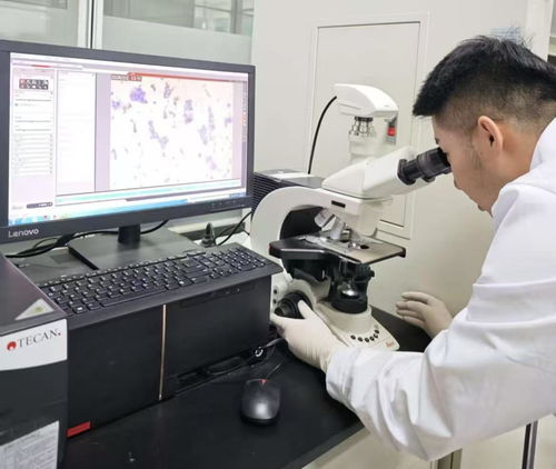 38.97億刷新紀錄！呼和浩特科創成果轉化跑出“首府速度”