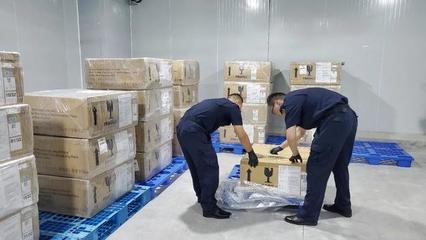 廣西毛燕進口創歷史新高，區域貿易結構持續優化
