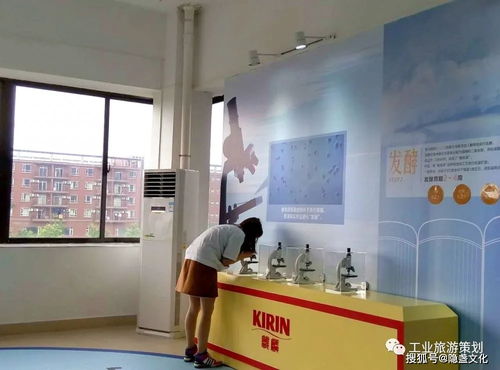 麒麟一番榨 暢享純正啤酒之旅，盡在觀光工廠與貼心服務